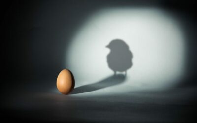 Chicken or the Egg? Sequencing Front-to-Back Transformation to Maximize Value